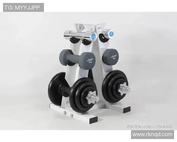 认识各种健身器材从基础到进阶